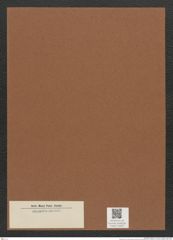 Diatomeae indet. Zeichnungen Sammlung Grunow Mappe 02307 (Herbarium_W_Grunow_drawings_Folder_02307)